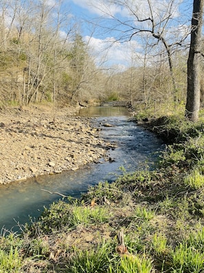 Looking up river from back porch.