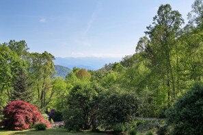 View from porch