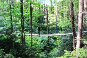 Swinging bridge
