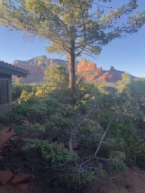 FOR REAL! VIEW FROM WILD WEST BEDROOM AND DEN.
