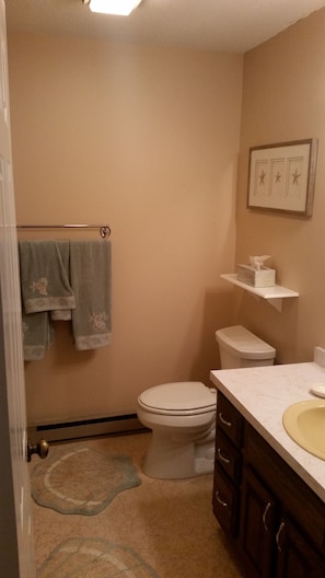 Main Bathroom