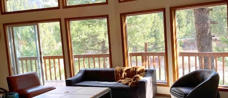 Upstairs living room 