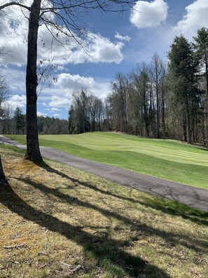 Sitting on the beautiful manicured 14th hole of Trillium Links & Lake Club.