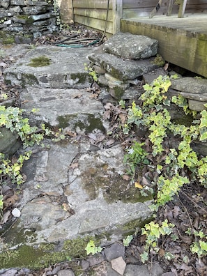 Terrain de l’hébergement 