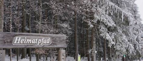 Desportos de neve e esqui