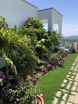 Entrance path to upstairs studio