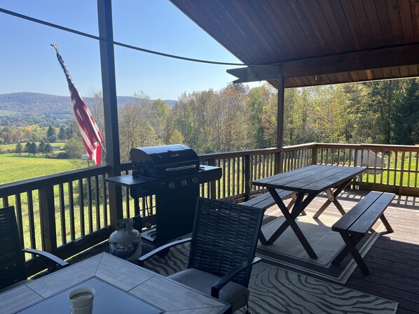 Covered front porch overlooking the valley