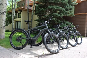 4 New Harley Davidson Serial 1 
Complimentary E-BIkes
