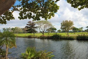 Beautiful surroundings!