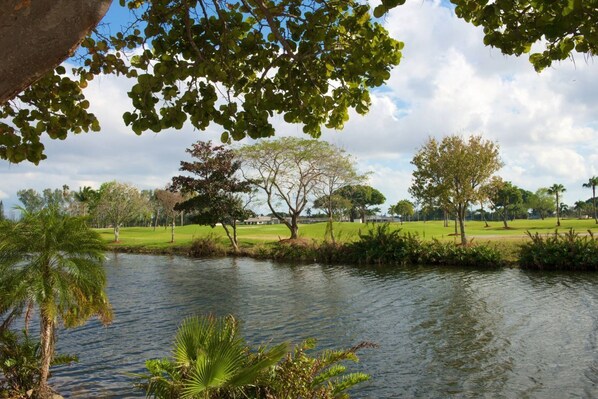 Beautiful surroundings!