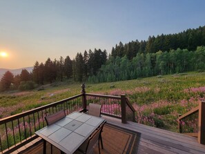 From the back deck in July