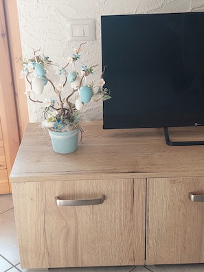Fernseher