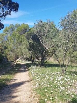 Boendeområde