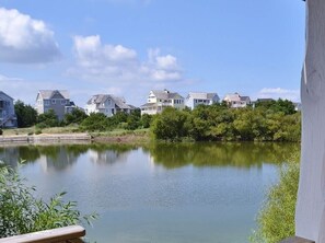 Pond View