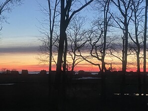 Always a different array of colors 