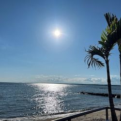 Cornfirkd Point Beach, yes there are palm trees in CT!