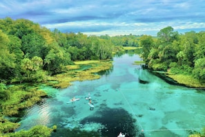 Rainbow Springs State Park only 15 minute drive away!