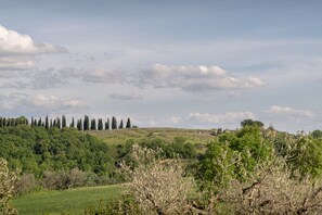 Terrain de l’hébergement 