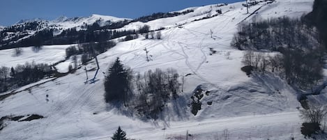 Sneeuw- en skisporten