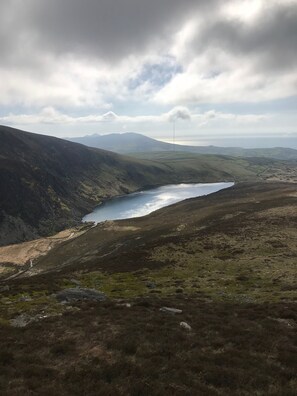 the local lake nearby