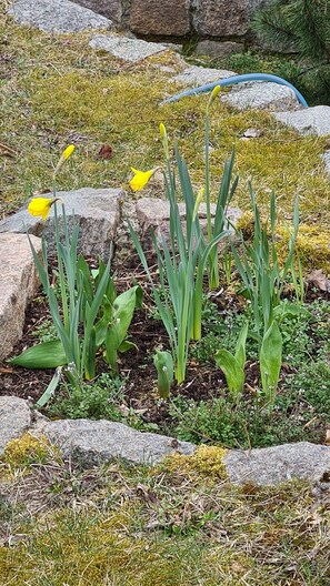 Wir halten die Anlage in Schuß und Bunt mit vielen Blumen