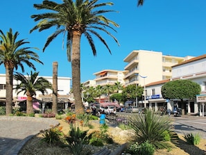 Ciel, Plante, Bâtiment, Jour, Propriété, Bleu Azur, Arbre, Végétation, Arecales, Architecture