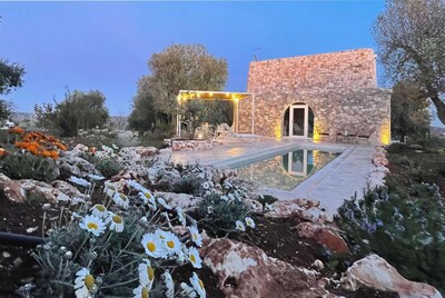 Picture of villa