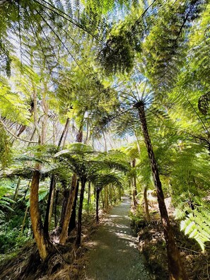 Our curated Bushwalk