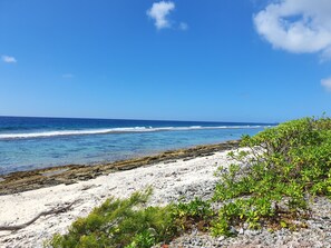 The private beach