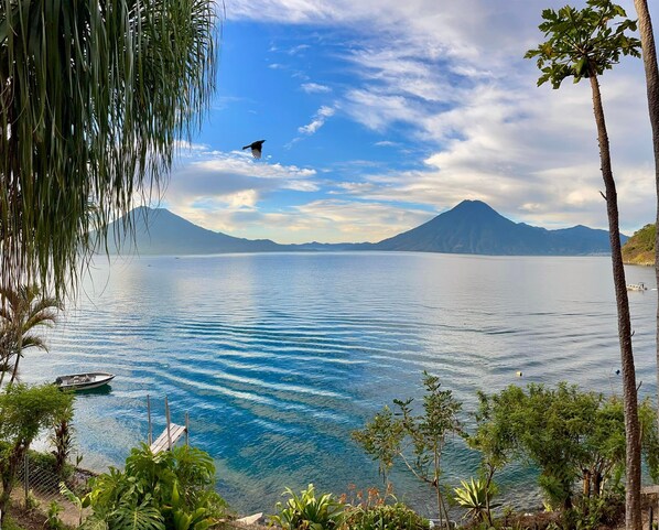 view and location