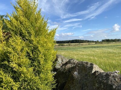 Romantic peaceful getaway in the Fife countryside