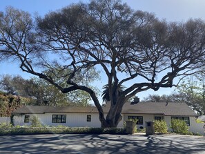 Mature landscaping and native trees.