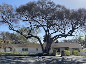 Mature landscaping and native trees.