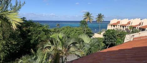 View from rooftop patio off master bedroom- you can hear the ocean!