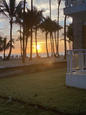 Sunrise while dog walking is simply beautiful!