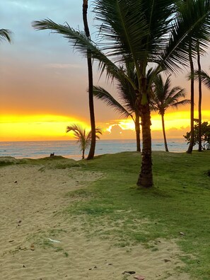 Morning sunrises are absolutely stunning!