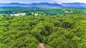 After A Day Full of Adventure, Retreat To Tranquil-Nest AVL