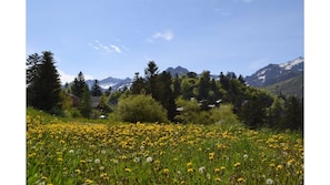 Terrain de l’hébergement 