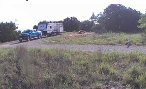 Lake Godstone RV Campsite