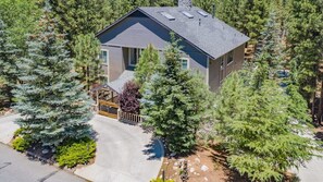 Majestic towering pines surrounding the estate.