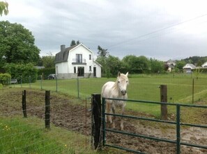 Un charmant voisin