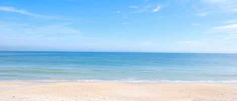 We have a private beach owned by our building100 feet from our condo door