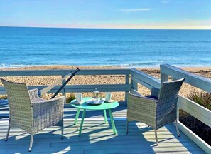 🐬🐋Dolphin, whale or bird watch with FREE coffee/tea/ hot cocoa on private deck!🪶