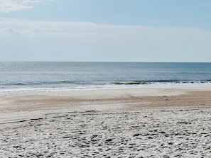 Beautiful Beach Day!