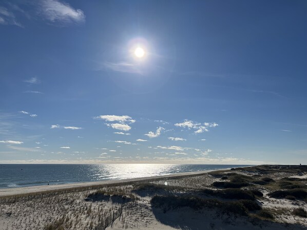 Seal watching