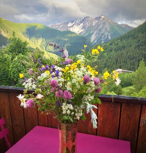 Vue Balcon 1 