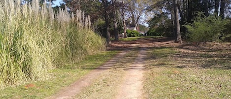 Terrenos do alojamento