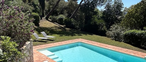 Piscine et jardin