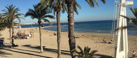 Garden. Torrevieja beach