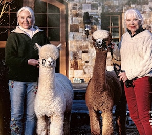 Nicht klassifiziertes Bild, 4 von 36, SchaltflÀche